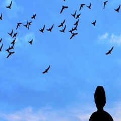 *R* MIS PENSAMIENTOS ESTAN MIGRANDO COMO LAS AVES