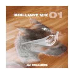 Brilliant Mix 01 (Tech House)