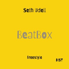 Beatbox Remix - Seth Udell