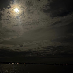 keysun - wallace and gromit