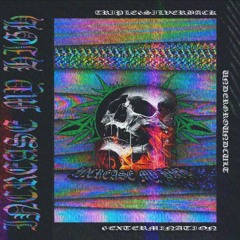 phonk 290