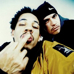 NTM - Seine Saint Denis Style (Jazzagain REMIX)