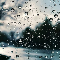 #10 progressive organic house