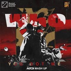 Funky Green Dogs VS Wh0 - You Got Me Fired Up! (Mitch B. Mash Up)