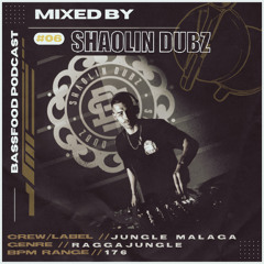 BASSFOOD PODCAST #06 SHAOLIN DUBZ