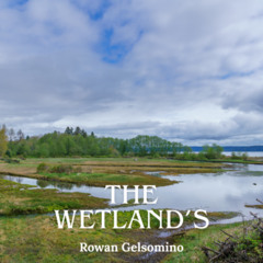 The Wetland's