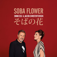 Soba Flower (そばの花)