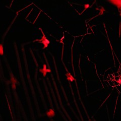 do androids dream of love while they sleep?〔155 - 195〕