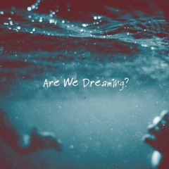 Are We Dreaming?(DEMO)