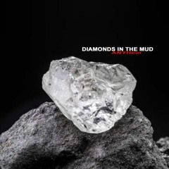 Diamonds In The Mud