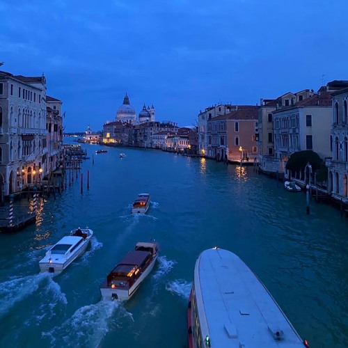 DEC DOYLE // VENICE - 8.03.24