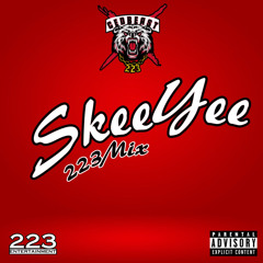 SkeeYee [223MIX]