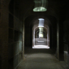 i thought i would miss you