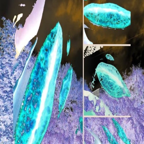 ☿⋨✠⋤☿⋨✠⋤☿⋨✠⋤☿⋨✠⋤☿⋨✠⋤☿⋨✠⋤☿⋨✠⋤☿⋨✠⋤☿⋨✠⋤☿⋨✠⋤(rework)