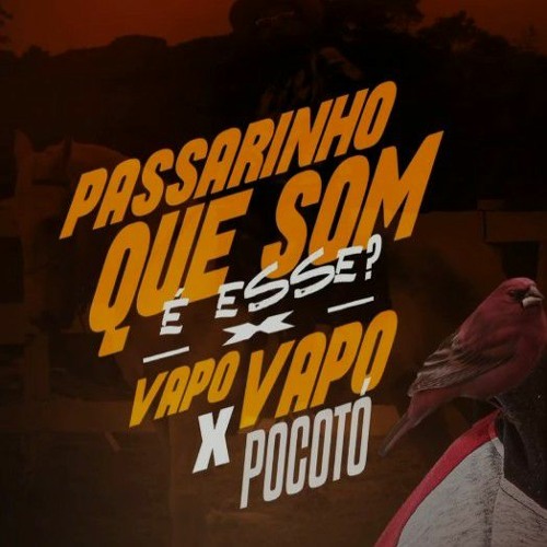 PASSARINHO QUE SOM É ESSE VS VAPO VAPO POCOTÓ REMIX MC PR