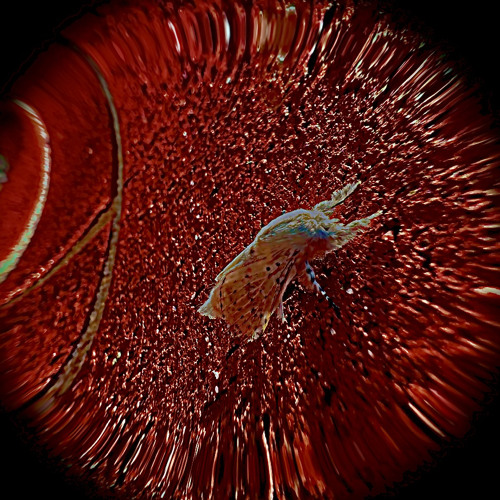 Stream Neverlie Prod Xenshel By Itzcashh Listen Online For Free On