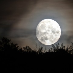Der Mond (Disquiet0535)