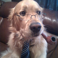 highiqmoney(michael harrison)