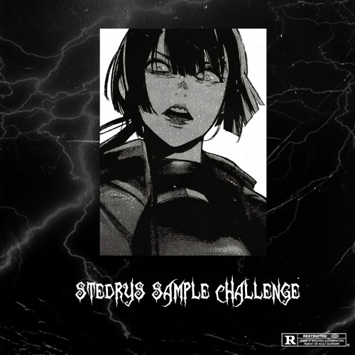sample challenge entries