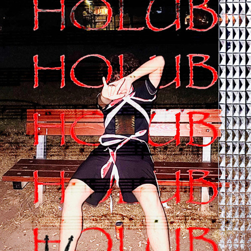 HOLUB