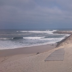 beachdreamin