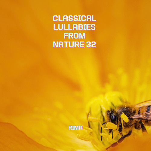 Felix Mendelssohn : Lieder Ohne Worte Book I. Op.19 - No.6 In G Minor