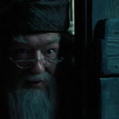 Dumbledores geheim Bunker 142-153 bpm