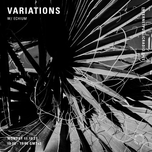 Variations w/ Echium - 11th October 2021