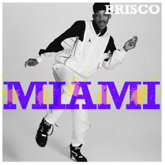 Will Smith - Miami (BRISCO HOUSE REMIX) [FREE DL]
