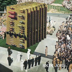 Skin Jobs - Def Bods (full album)