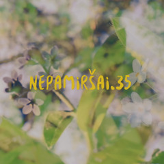 Iš nieko - Nepamiršai.35