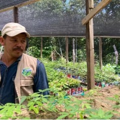 'El Silencio', la reserva natural colombiana donde científicos y comunidades regeneran la selva
