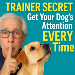 The-Pet-Show 10-18-25