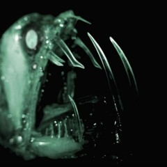 Feel Like (Klo x Whit)