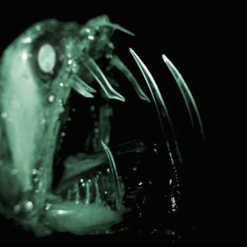 Feel Like (Klo x Whit)