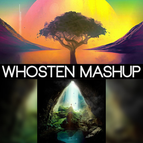 Stream Fox Stevenson x Alan Walker x Ava Max - Flash Alone Pt. II (Whosten  Mashup) by Whosten | Listen online for free on SoundCloud