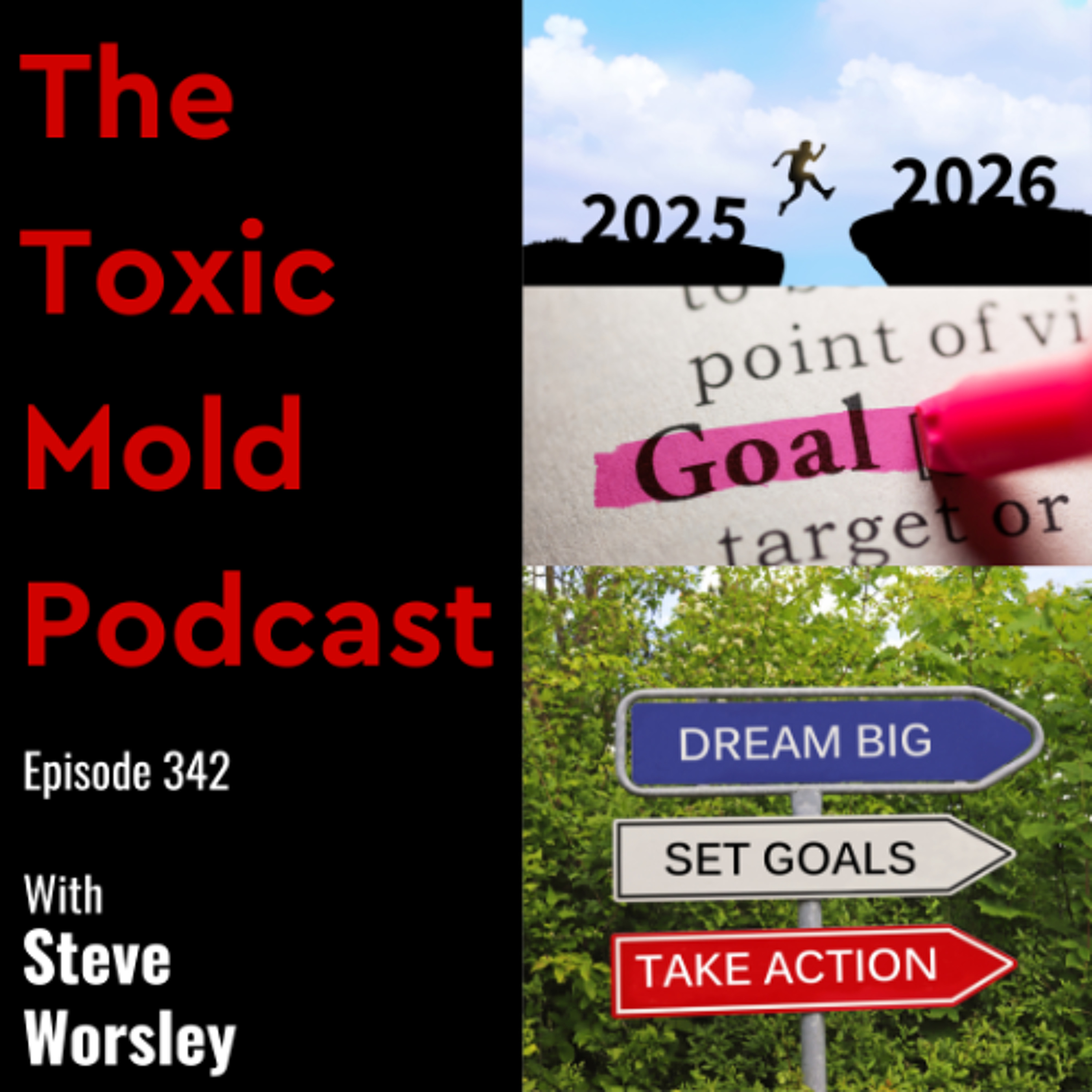 EP 342 : Let's Set Our 2026 Goals