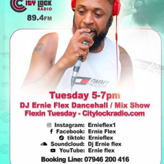 REAL LIFE PAIN RADIO JUGGLE DJ ERNIE FLEX