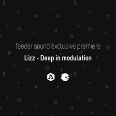 Lizz - Deep in modulation