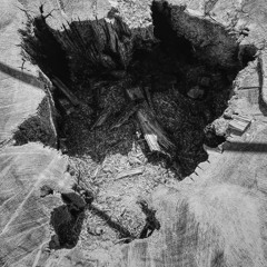 We_Are_Built_2_Forget