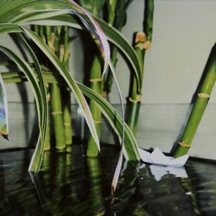 Sometimes We Have To Pay