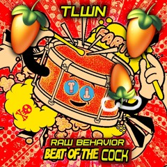 the straikerz - beat of the cock (raw behaviour gross beat vs fl studio 69 edit)