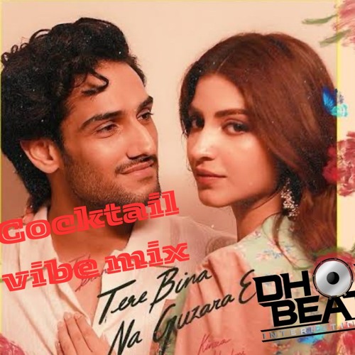 Tere Bina Na Guzara E | DBI Cocktail vibe Mix | Josh Brar