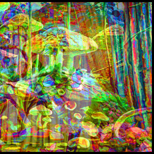 slowly but surely developed | untitled project 002 sessions | ambient atmospheric woodland drone horror WIP | koto v1 100 bpm
