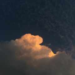 선우정아_구애(cover)