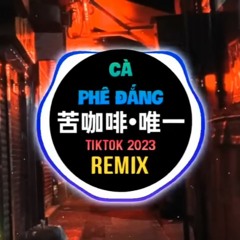 那奇KK  苦咖啡唯一 DJ抖音版