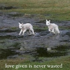 me voy - la plata (cover)