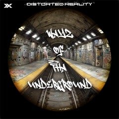 Distorted Reality - Wayz Of Tha Underground