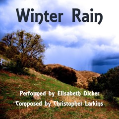 Winter Rain by Christopher Larkins