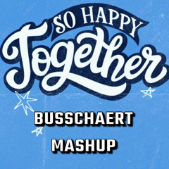 Happy Together (Busschaert Mashup 2025) The Underdogs X Ricardo Moreno